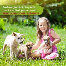 Carica l&#39;immagine nel visualizzatore di Gallery, 5