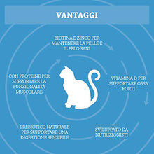 Carica l&#39;immagine nel visualizzatore di Gallery, Marchio Amazon - Solimo Alimento secco completo per gatti adulti con 3 kg