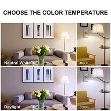 Carica l&#39;immagine nel visualizzatore di Gallery, Lampadine a LED E14 Candela, 5W Equivalenti a 40W, C37 6500K-6Pezzi