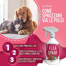 Carica l&#39;immagine nel visualizzatore di Gallery, 5