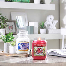 Carica l&#39;immagine nel visualizzatore di Gallery, Yankee Candle candela profumata in giara grande, Lampone rosso, durata: Large - Ilgrandebazar