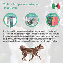 Carica l&#39;immagine nel visualizzatore di Gallery, Green-Italy Collare Antipulci Cane e Gatto, Regolabile 63 cm - Efficacia 8...