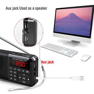 Radio Tascabile FM Portatile Digitale con Altoparlante Y-01