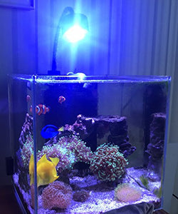 Lumini - Luce LED per acquario, acqua dolce salata acquario corallo,...