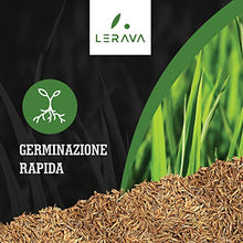 Carica l&#39;immagine nel visualizzatore di Gallery, LERAVA TURBO Semi da prato a germinazione rapida per zone fresche e climi continentali - garantisce colori verdi brillanti - con erba che cresce veloce - 30m²