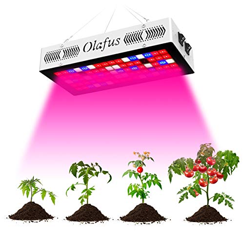 Olafus 300W Grow Light Lampada per Piante VEG&Bloom 3 Modalità Spettro... - Ilgrandebazar