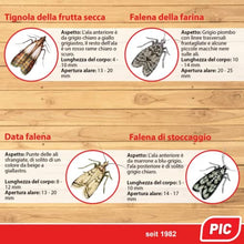 Carica l'immagine nel visualizzatore di Gallery, 3