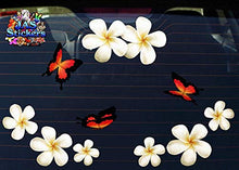 Carica l&#39;immagine nel visualizzatore di Gallery, Fiore frangipani plumeria bianca doppio + farfalla grande adesivi auto... - Ilgrandebazar