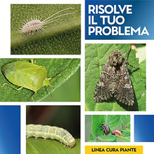 Carica l&#39;immagine nel visualizzatore di Gallery, Albagarden - Insetticida Piante Tripla Azione, Aficida, Con Deltametrina Concentrato Forte, Stop Popillia Japonica Cocciniglia Insetti Afidi Cimici Piralide, Effetto Veleno Repellente X 50 ml