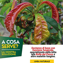 Carica l&#39;immagine nel visualizzatore di Gallery, Albagarden - Fungicida Piante Per Bolla Del Pesco Per Agricoltura Biologica - Lecitina Funghicida Naturale Per Trattamento di Oidio Peronospora Alternaria - Polvere Solubile X 100 gr