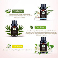 Carica l&#39;immagine nel visualizzatore di Gallery, BEVILLE Oli Essenziali per Diffusori, Aromaterapia Olio Essenziale Biologici... - Ilgrandebazar