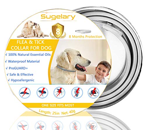 Collare Antipulci Cane Impermeabile, Collari Antiparassitario per Cani 1