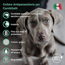 Carica l&#39;immagine nel visualizzatore di Gallery, Green-Italy Collare Antipulci Cane e Gatto, Regolabile 63 cm - Efficacia 8...