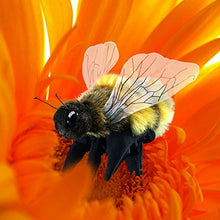 Carica l&#39;immagine nel visualizzatore di Gallery, Folkmanis Honey Bee Puppet Multicolore - Ilgrandebazar