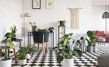 Carica l'immagine nel visualizzatore di Gallery, Macrame Corda 3mm*100m Filo Cotone, Filato Naturale Arancia