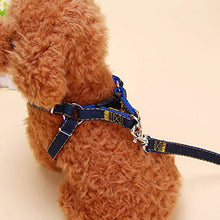 Carica l&#39;immagine nel visualizzatore di Gallery, Set guinzaglio per Cani Collare in Denim Gatto di Small, Nero - Ilgrandebazar