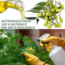 Carica l&#39;immagine nel visualizzatore di Gallery, bio A.L.T Olio di neem 500 ml insetticida Repellente per Zanzare Cimici...