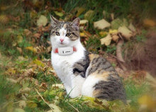 Carica l&#39;immagine nel visualizzatore di Gallery, TKSTAR Mini GPS Tracker, per Pet Tracker Localizzatore, Real-time...