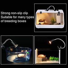 Carica l&#39;immagine nel visualizzatore di Gallery, LEDGLE Lampada Tartarughe Acqua, UVA UVB Riscaldante, 25W+50W