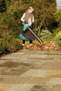Bosch Home and Garden 06008A1000 Aspiratore Soffiatore, 300km/h, 800 m3/h,... - Ilgrandebazar