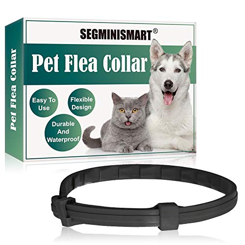 Collare Antipulci Cane,Collare Per Gatti Antipulci,Collare per Cani...
