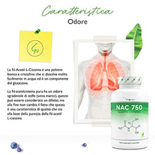 Carica l&#39;immagine nel visualizzatore di Gallery, 1