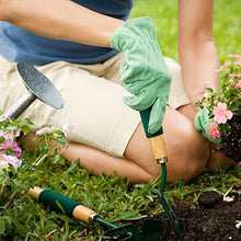 Carica l'immagine nel visualizzatore di Gallery, Perlite Giardinaggio 5L - Utilizzabile Sia Come Perlite Per Piante In Vaso, Inerti Per Piante Grasse, Perlite Per Piante Carnivore E Per Tutti I Tipi Di Terreno.