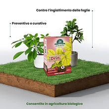 Carica l'immagine nel visualizzatore di Gallery, Il Paese Verde Drin Ferro Chelato 200g - Ferro Chelato Per Piante Contro Ingiallimenti Dovuti Alla Clorosi Ferrica. Ferro Chelato Microgranulare Consentito In Agricoltura Biologica.