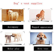 Carica l'immagine nel visualizzatore di Gallery, Wuudi Wudi Giocattolo per Animali Domestici, 3 Giocattoli Cani, Senza...