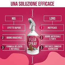 Carica l&#39;immagine nel visualizzatore di Gallery, 4