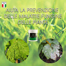 Carica l'immagine nel visualizzatore di Gallery, 2