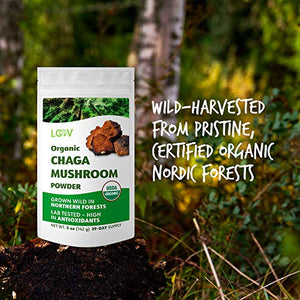 Polvere Biologica di Fungo Chaga, Raccolto Allo Stato Selvatico Nelle...