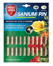 Carica l'immagine nel visualizzatore di Gallery, Protect Garden Sanium Pin PFnPO, Insetticida Sistemico in Pillole. Elimina Afidi e Mosca Bianca. Nutre e Protegge Grazie alla Formulazione Ricca di Concime NutriONE. Protegge Tutta La Stagione. 20 pin