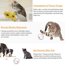 Carica l&#39;immagine nel visualizzatore di Gallery, Giocattolo interattivo per gatti, con funzione timer LED ricaricabile...