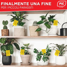 Carica l&#39;immagine nel visualizzatore di Gallery, Insetticida moscerini piante interno adesivi gialli 60 Trappole - Moscerini in casa - trappola moscerini - trappola per moscerini - PIC