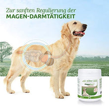 Carica l&#39;immagine nel visualizzatore di Gallery, AniForte Stomaco Delicatamente per Cani 500g - Supporta la digestione, Lega...