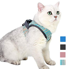 Carica l'immagine nel visualizzatore di Gallery, EVEL Set di Pettorina e guinzaglio per Gatti, Ultra Leggero L, Verde chiaro