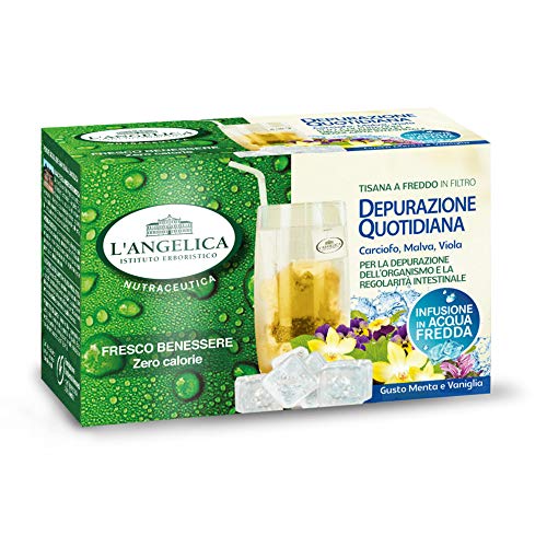 L'Angelica Tisana a Freddo Depurazione Quotidiana - 15 Filtri [27 gr]
