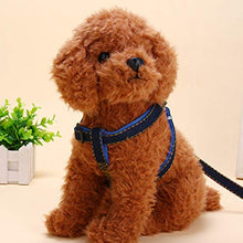 Carica l&#39;immagine nel visualizzatore di Gallery, Set guinzaglio per Cani Collare in Denim Gatto di Small, Nero - Ilgrandebazar