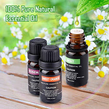 Carica l&#39;immagine nel visualizzatore di Gallery, Magicfun oli Essenziali per Diffusori Massaggi 100% Puri Naturale Set di...