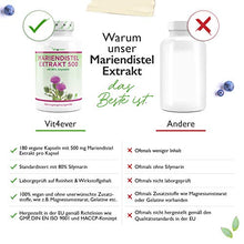 Carica l'immagine nel visualizzatore di Gallery, Vit4ever - Estratto di Cardo Mariano 500 - 180 Capsule - 500 mg - 80% Silimarina - Senza Additivi - 100% Estratto di Cardo Mariano