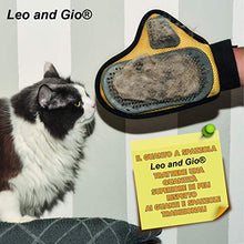 Carica l&#39;immagine nel visualizzatore di Gallery, Leo and Gio - Guanto per Cani e Gatti, Spazzola e Rimuovi Pelo Lungo e... - Ilgrandebazar