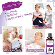 Carica l&#39;immagine nel visualizzatore di Gallery, VSADEY Olio Essenziale di Lavanda 50 ml, 100% Puro e Naturale Olio...