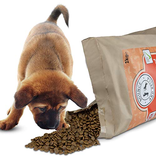 Regalo cucciolo Carlino da Volontario a regalo cuccioli di carlino
