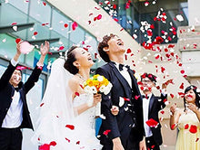 Carica l&#39;immagine nel visualizzatore di Gallery, CHSYOO 1000 x Rose Artificiali Foglie Fiori Confetti, Decorazione Rosso