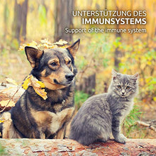 Carica l&#39;immagine nel visualizzatore di Gallery, AniForte Olio di Cocco Biologico per Cani e Gatti 1 litro - Prima spremitura...