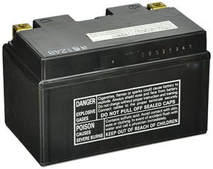 Yuasa Batterie YTZ10S Ytz10S senza Manutenzione