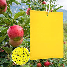 Carica l&#39;immagine nel visualizzatore di Gallery, Panngu 50 Pezzi Trappole Appiccicose Ciliegio, Mosche Dell&#39;olivo Trappola per Insetti per Mosca Bianca, Ulivi Mosca della Frutta, Afidi, Minatori Fogliari, Cicaline (15cm x 20cm)