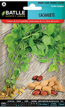 Carica l&#39;immagine nel visualizzatore di Gallery, Semi aromatici - arachidi - Batlle 15x8.5x3 cm, multicolore - Ilgrandebazar