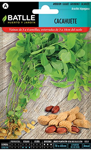 Semi aromatici - arachidi - Batlle 15x8.5x3 cm, multicolore - Ilgrandebazar